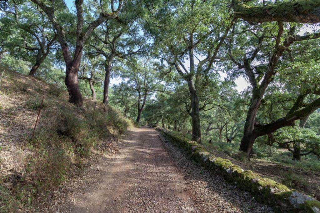 Finca Montemateo Navahermosa  Zewnętrze zdjęcie
